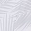 Grey Palm