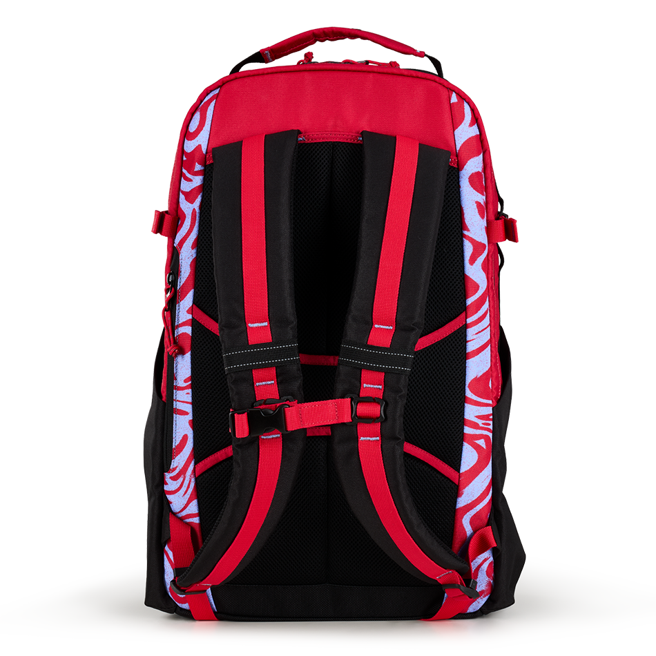 Alpha 25L Backpack - View 5