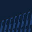 Navy Sport