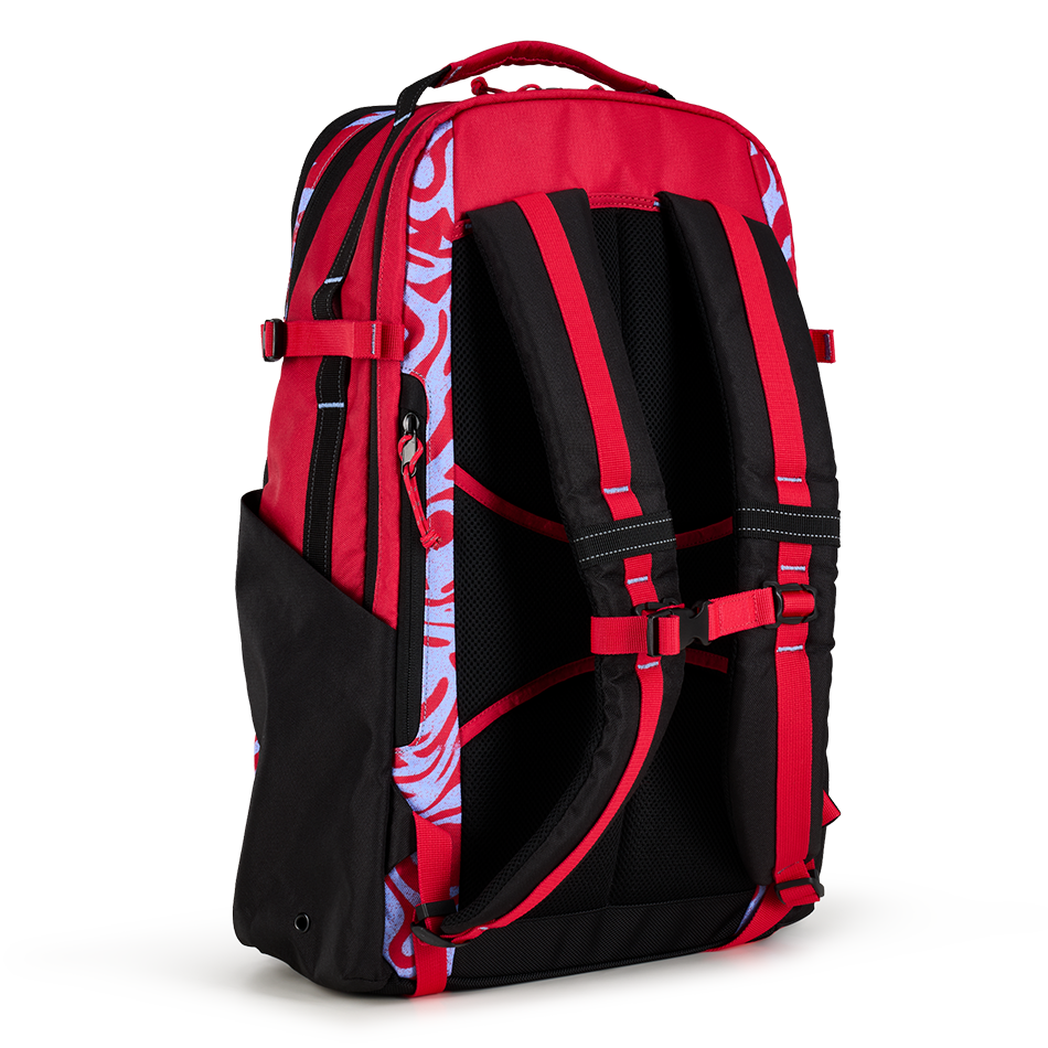 Alpha 25L Backpack - View 4