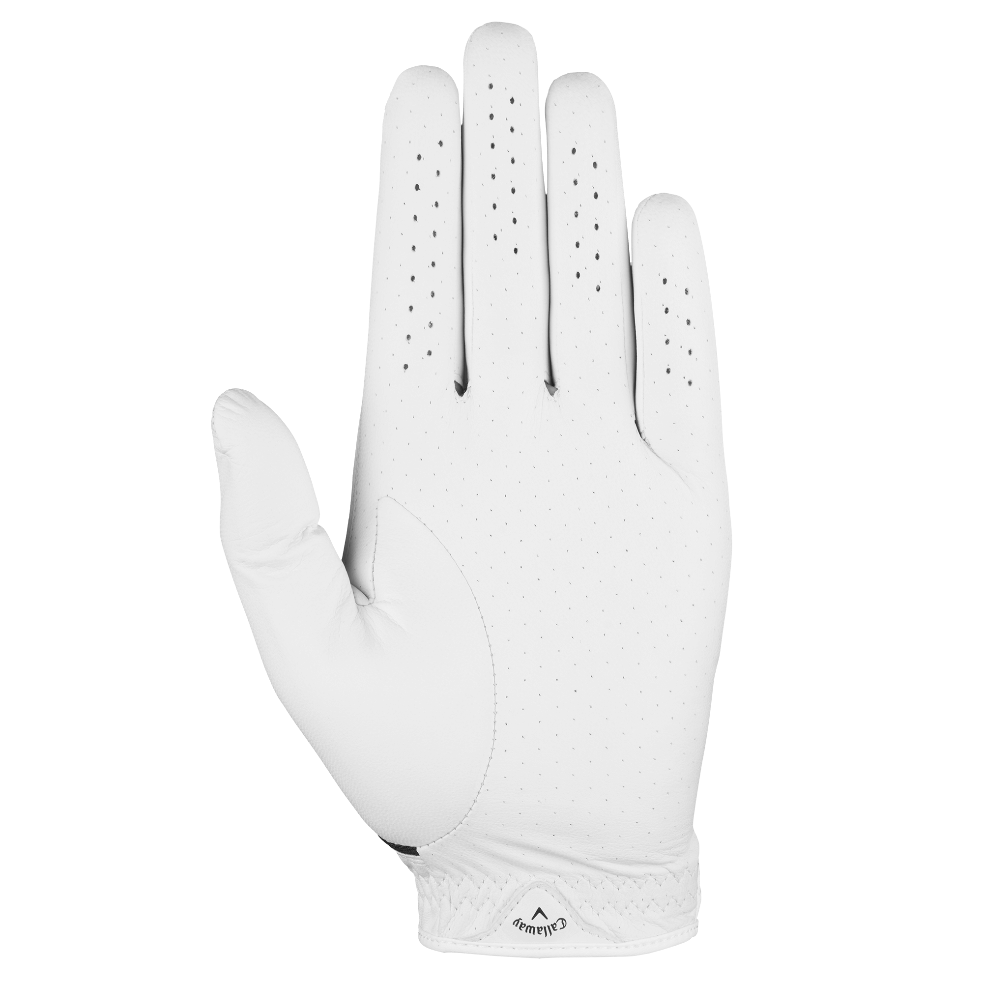 Fusion Golfhandschuhe - View 2