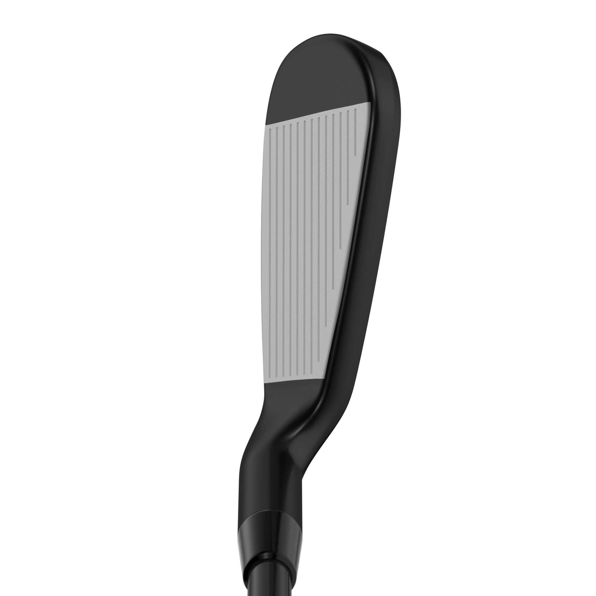 Apex Ai300 Black Shadow Irons - View 5