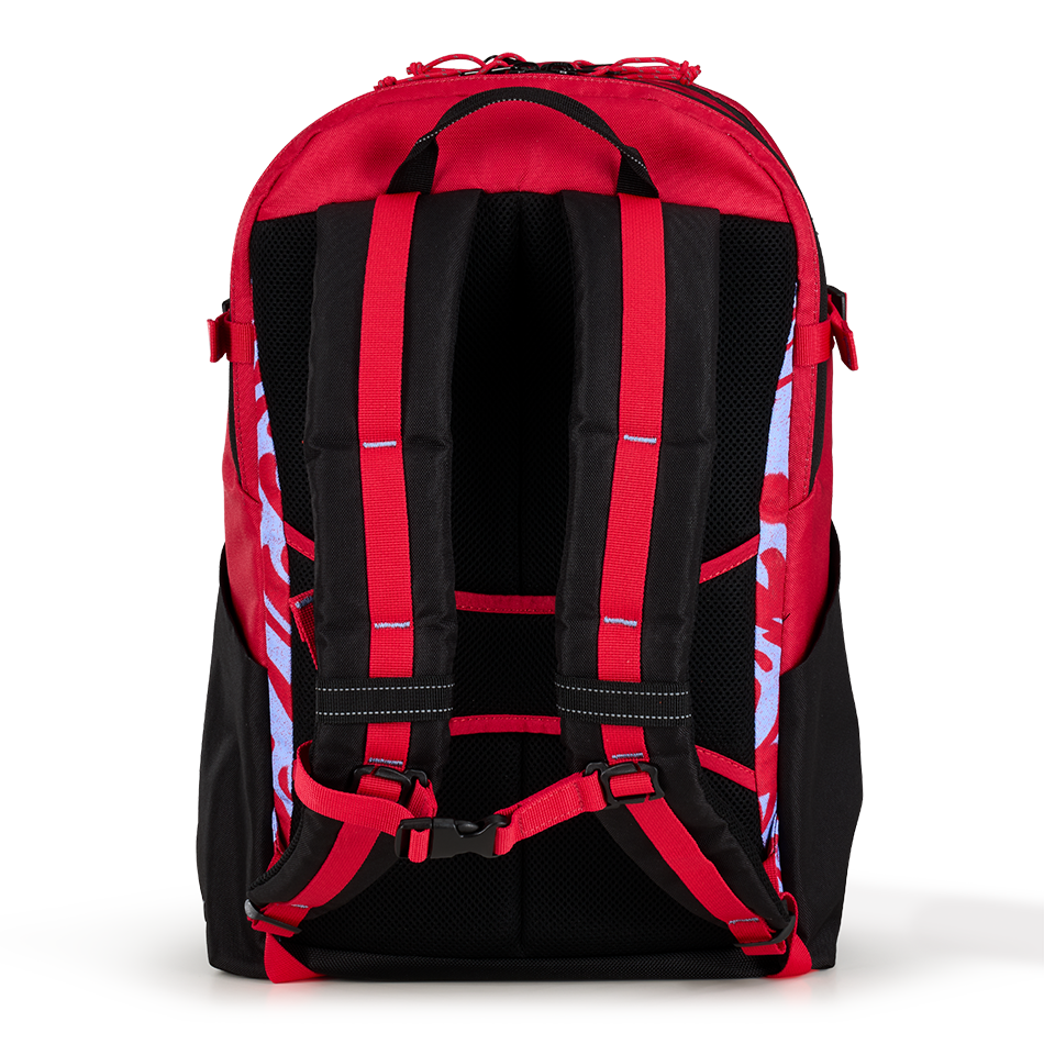 Alpha 20L Backpack - View 4