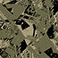 Olive Woodcut Polka