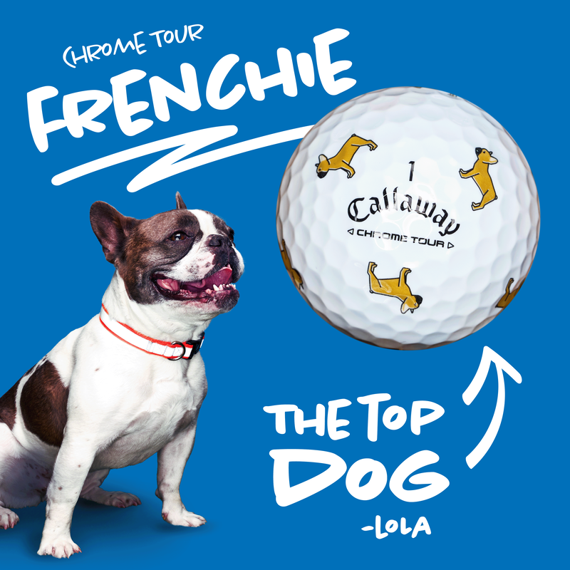 Chrome Tour Small Dogs: Fawn French Bulldog - View 2